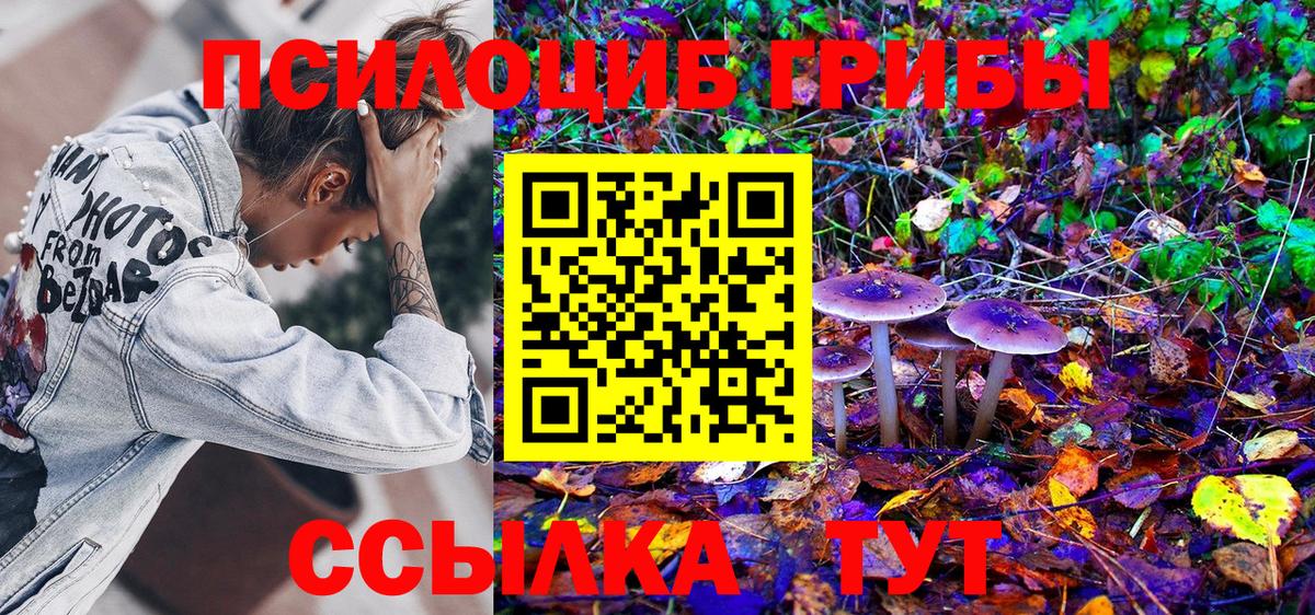 Александров  Псилоцибиновые грибы GOLDEN TEACHER  Галлюциногенные грибы Magic Shrooms  Вход с VPN 