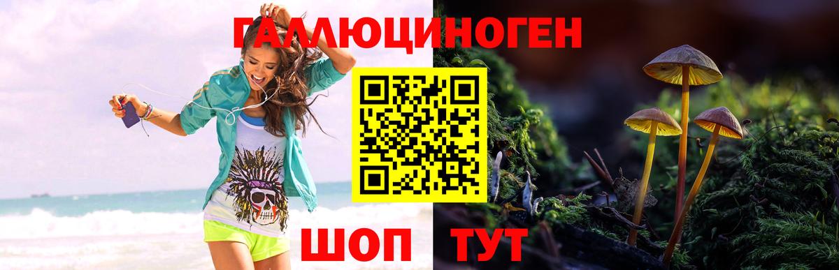 Галлюциногенные грибы Magic Shrooms Александров